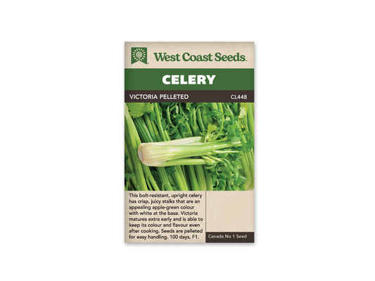 Celery Victoria WCS Seed