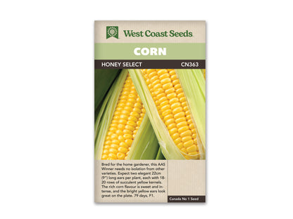 Corn Honey Select WCS Seed