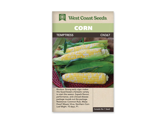 Corn Temptress F1 WCS Seed