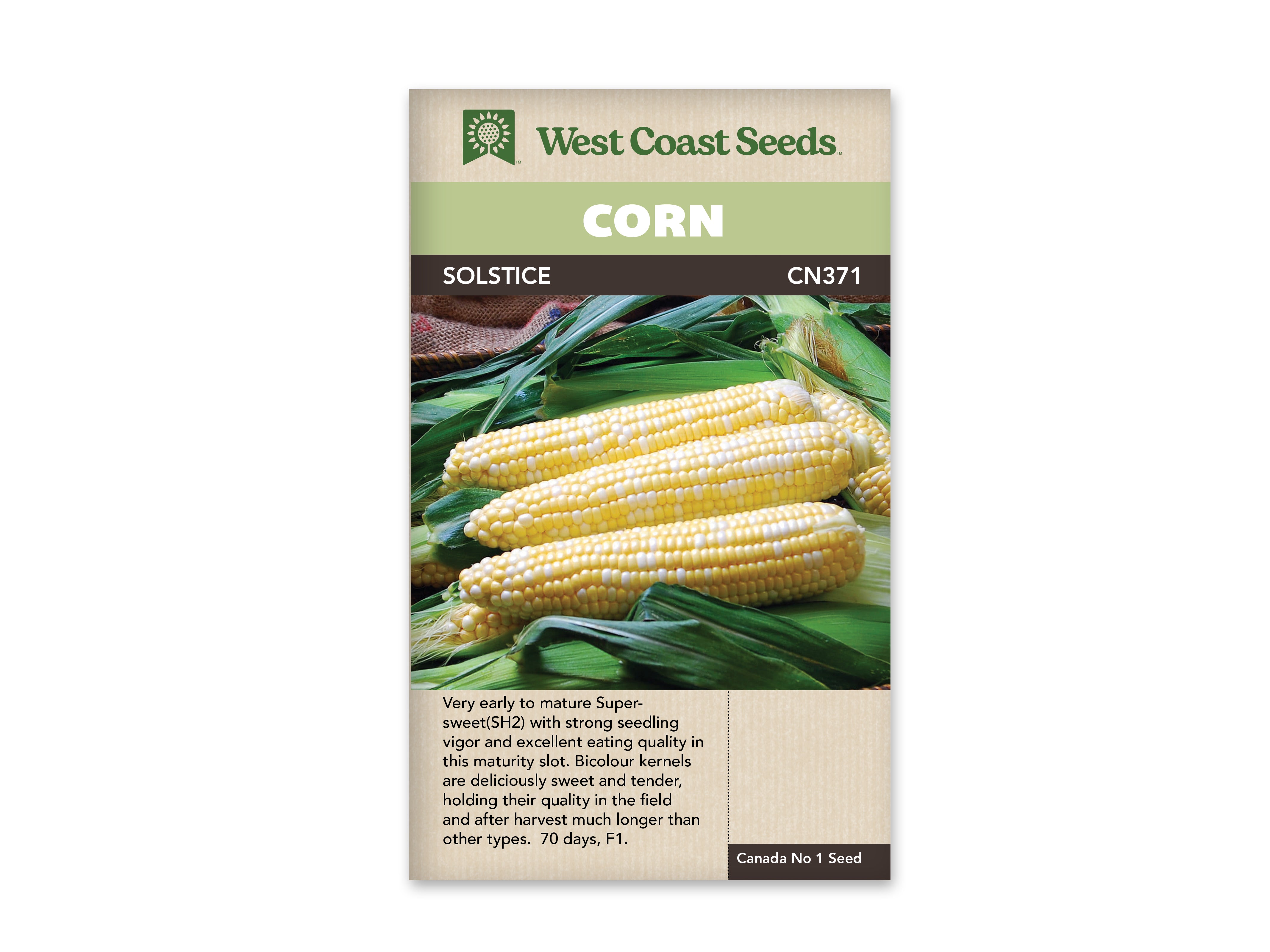Corn Solstice LG WCS Seed – Garden Girl