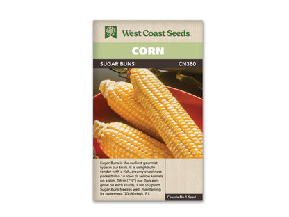 Corn Sugar Buns  WCS Seed