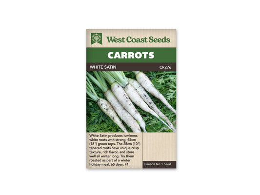 Carrots White Satin F1 WCS Seed