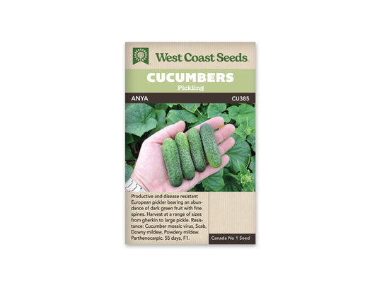 Cucumber Anya WCS Seed