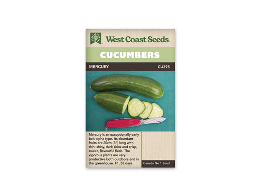 Cucumber Mercury WCS Seed