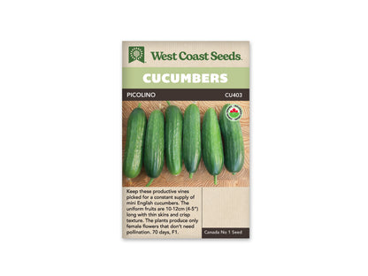 Cucumber Picolino Organic WCS Seed