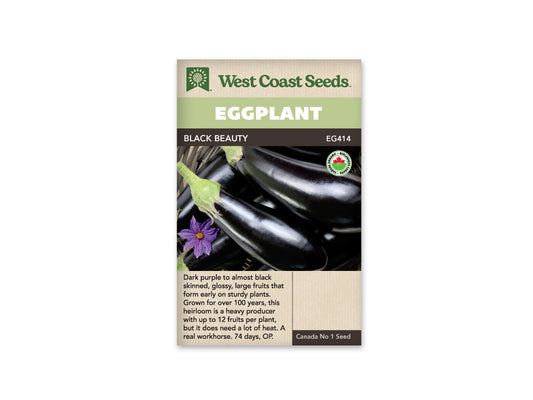 Eggplant Black Beauty Organic WCS Seed