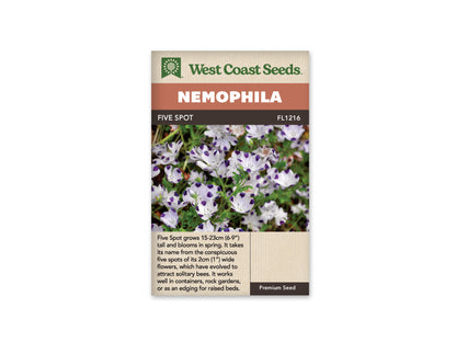 Nemophilia Five Spot  WCS Seeds