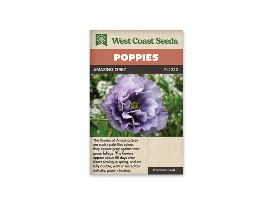 Poppy Amazing Grey WCS Seeds