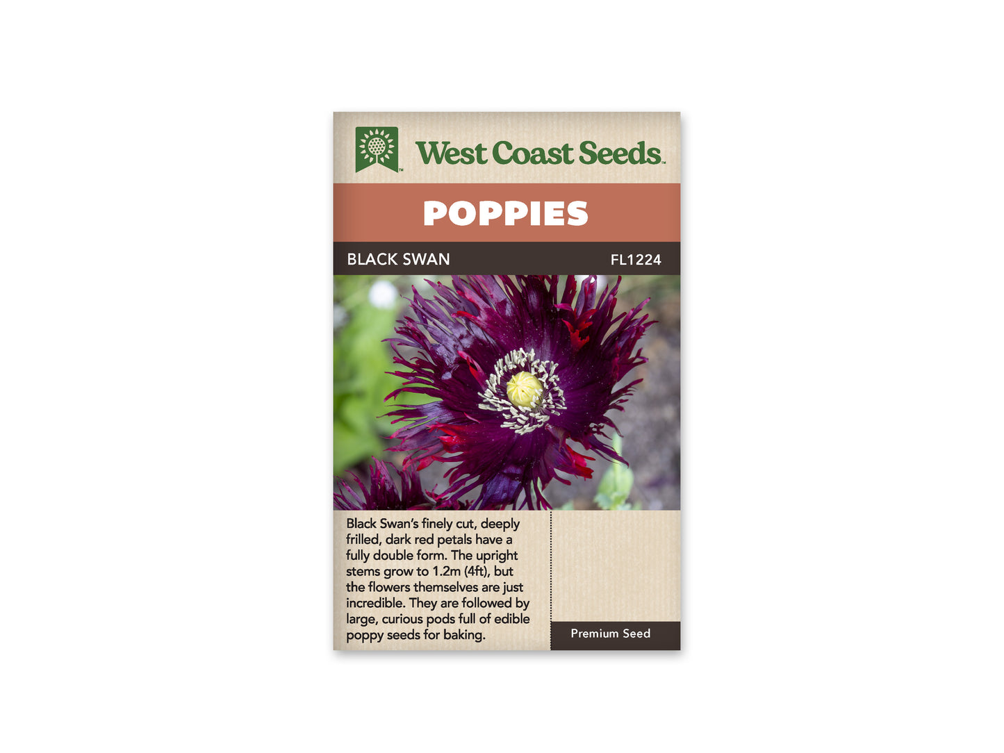 Poppy Black Swan WCS Seeds