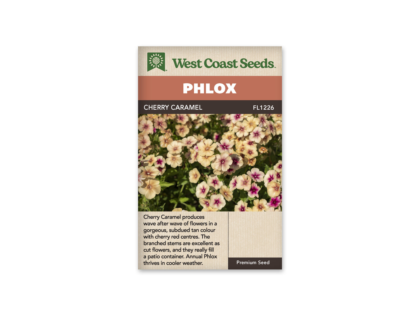 Phlox Annual Cherry Caramel
