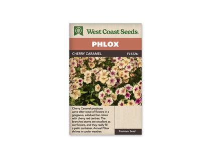 Phlox Annual Cherry Caramel
