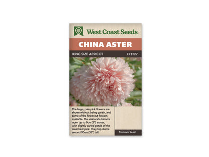 Aster King Size Apricot WCS Seeds