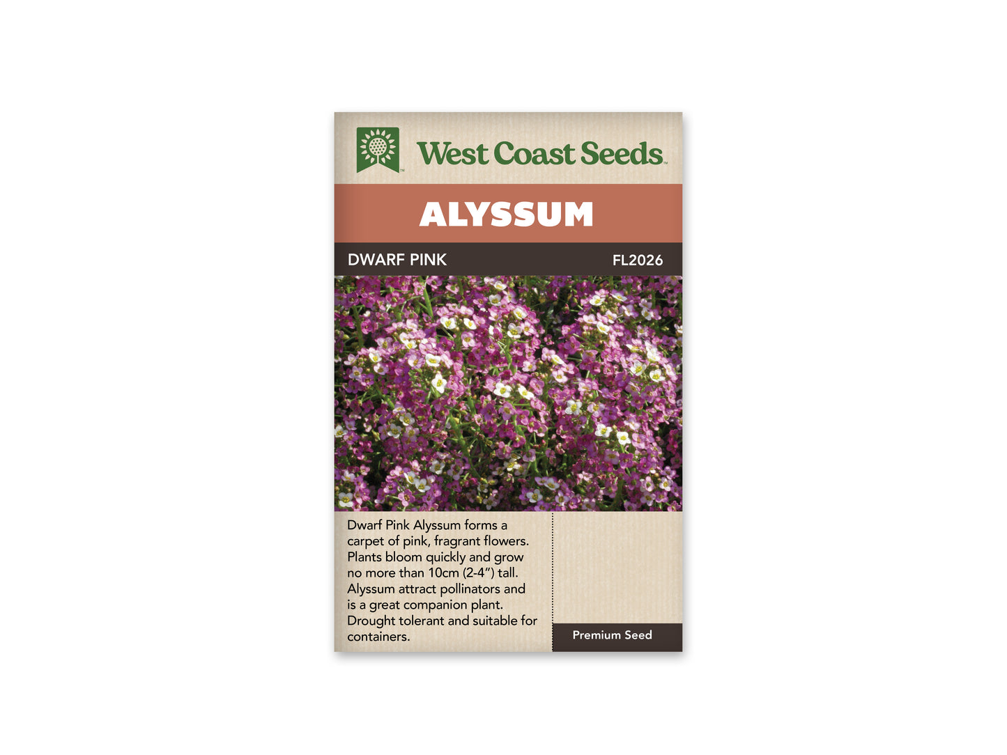 Alyssum Dwarf Pink WCS Seeds