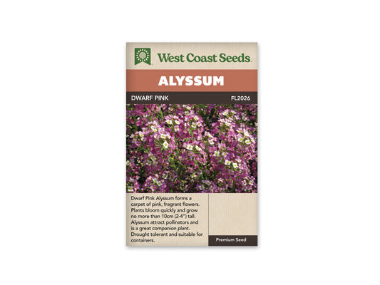 Alyssum Dwarf Pink WCS Seeds