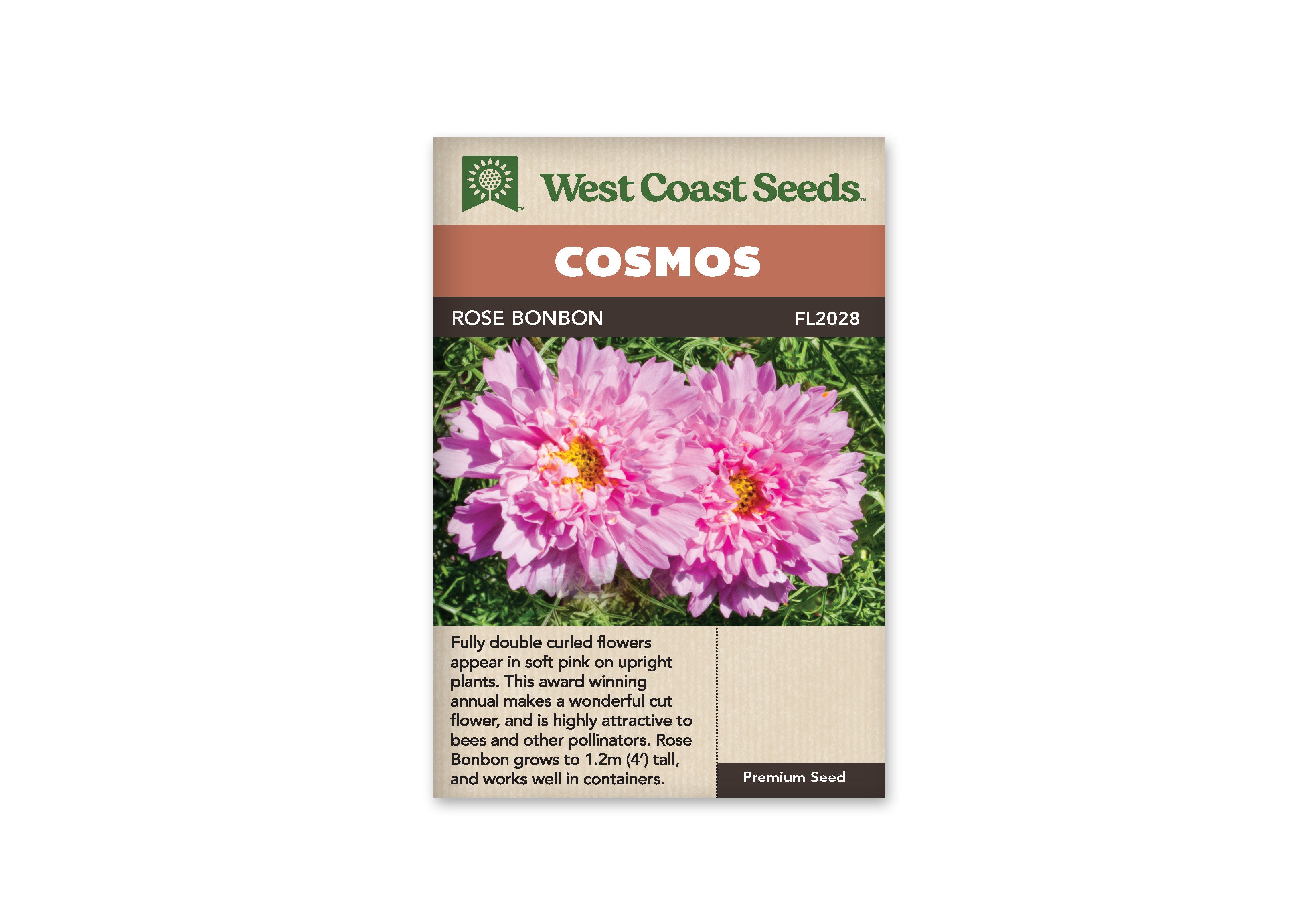 Cosmos Double Click Rose Bon Bon WCS Seeds – Garden Girl