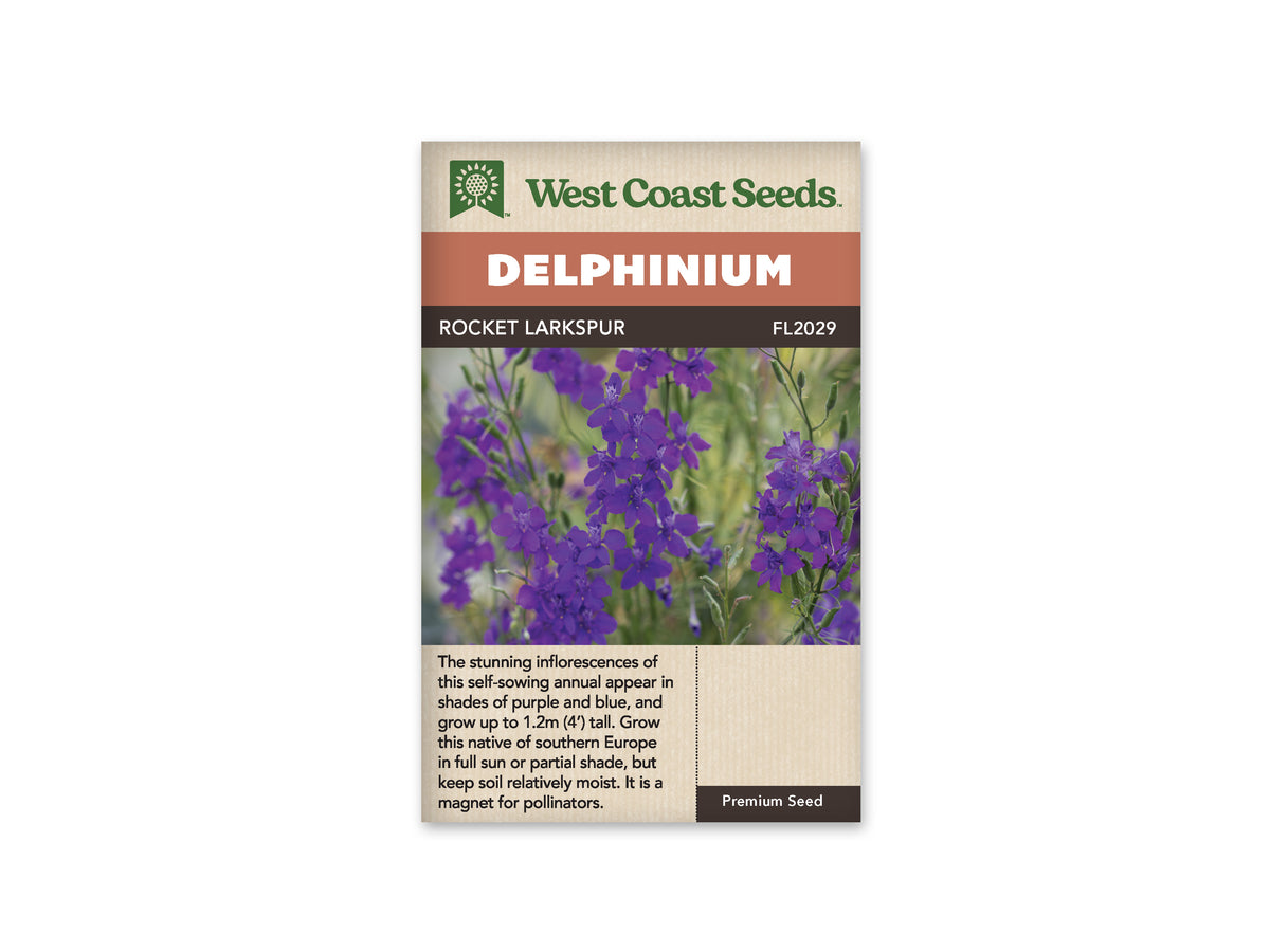 Delphinium Pixie Rockets Delphinium Rocket Larkspur WCS Seeds – Garden Girl