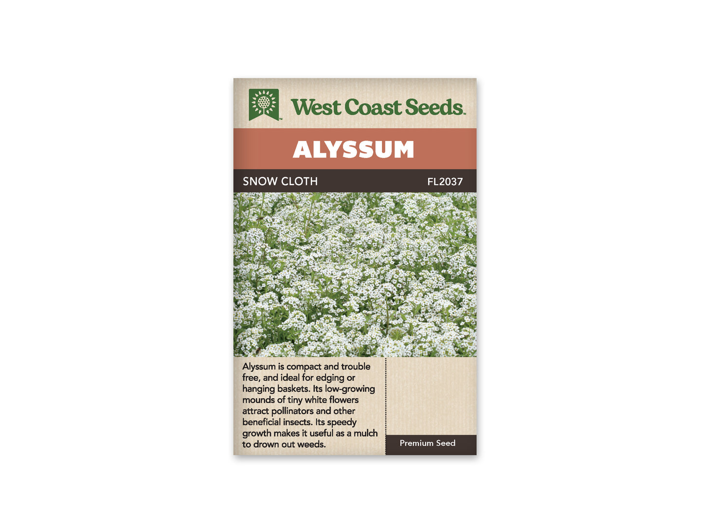 Alyssum Snow Cloth WCS Seeds