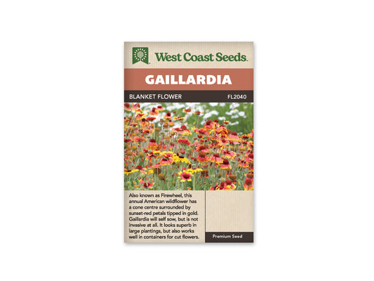 Gallardia Blanket Flower WCS Seeds