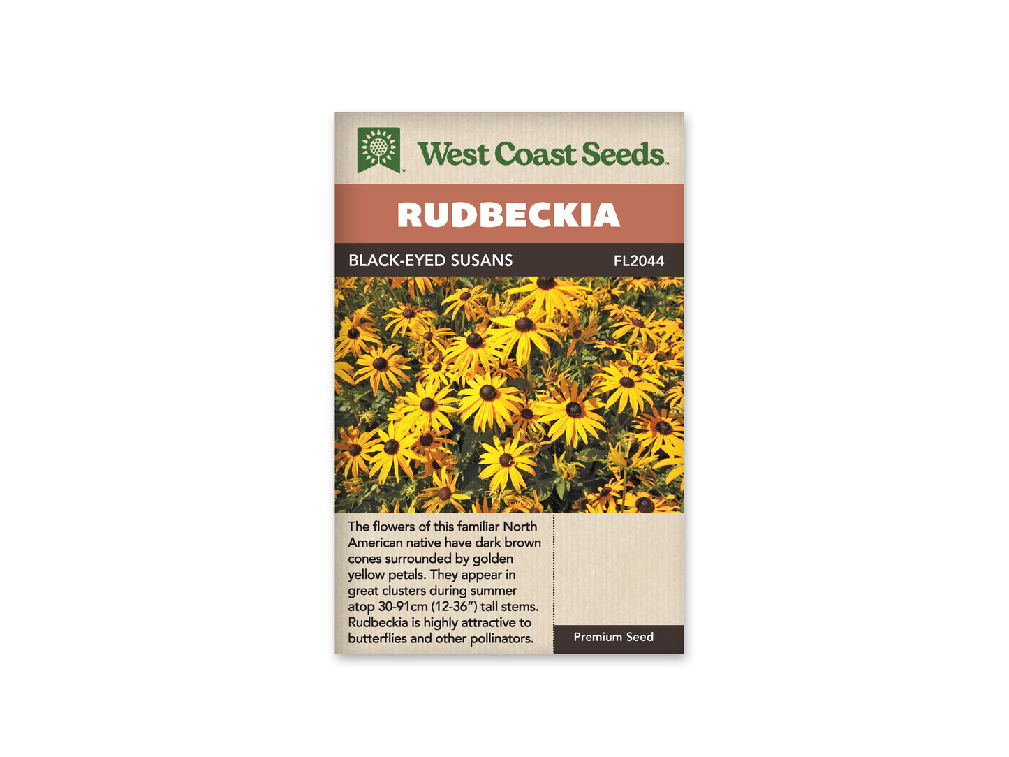 Rudbeckia Black Eyed Susan WCS Seeds