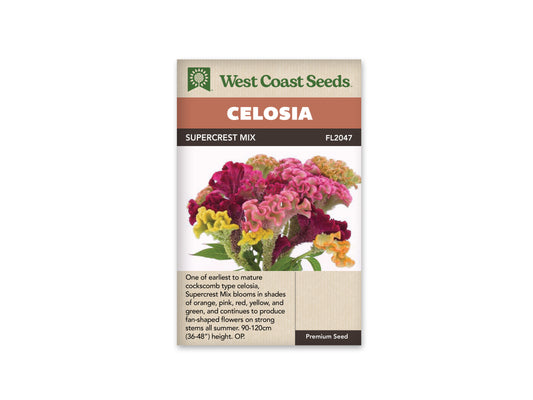 Celosia Supercrest Mix WCS Seeds