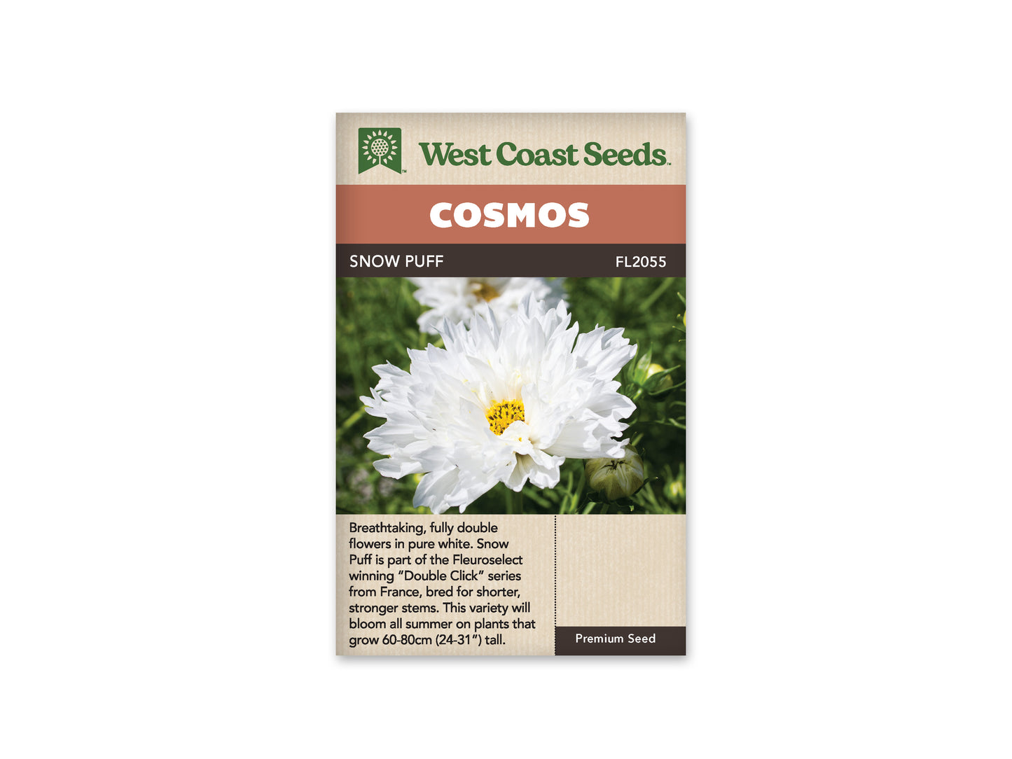 Cosmos Double Click Snow Puff WCS Seeds