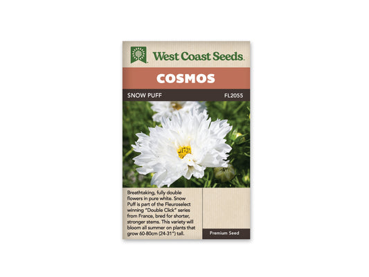 Cosmos Double Click Snow Puff WCS Seeds