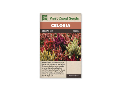 Celosia Celway Mix WCS Seeds