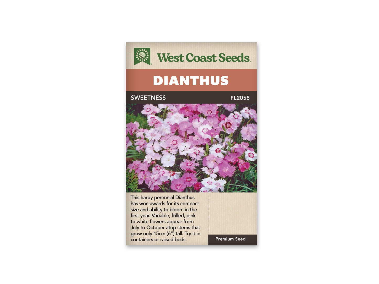 Dianthus Sweetness WCS Seeds