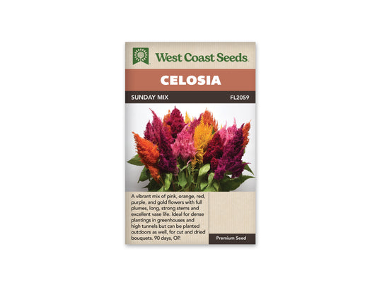 Celosia Sunday Mix WCS Seeds