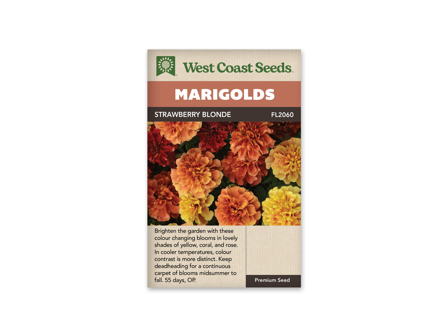 Marigold Strawberry Blonde WCS Seeds