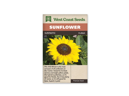 Sunflowers Suntastic WCS Seeds