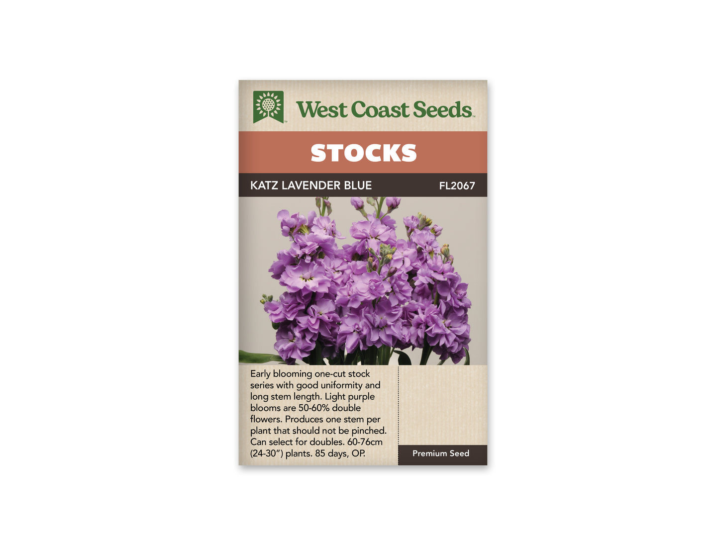 Stock Katz Lavender Blue WCS Seeds
