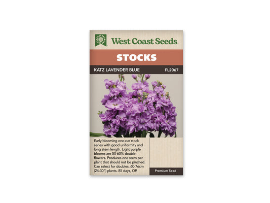 Stock Katz Lavender Blue WCS Seeds