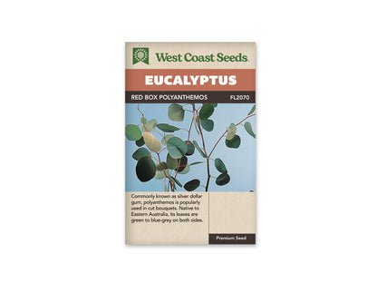 Eucalyptus Red Box WCS Seeds