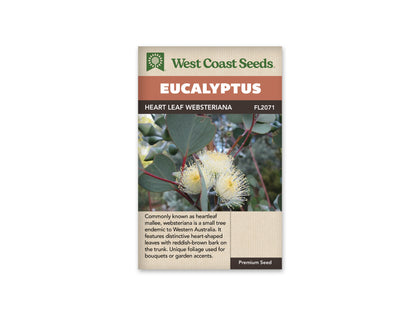 Eucalyptus Heart Leaf Websteriana WCS Seeds