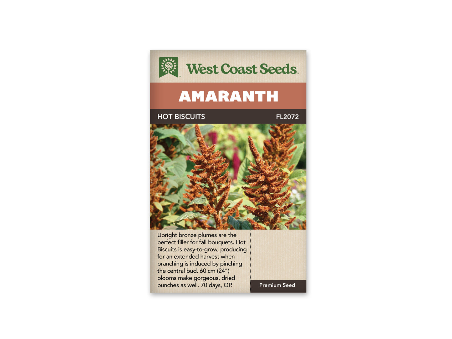 Amaranth Hot Biscuits WCS Seeds