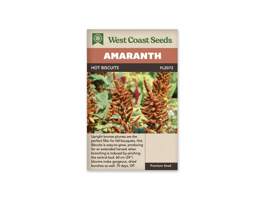 Amaranth Hot Biscuits WCS Seeds