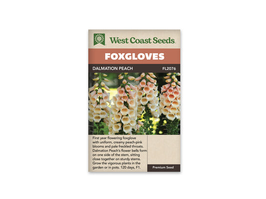 Foxglove  Dalmation Peach WCS