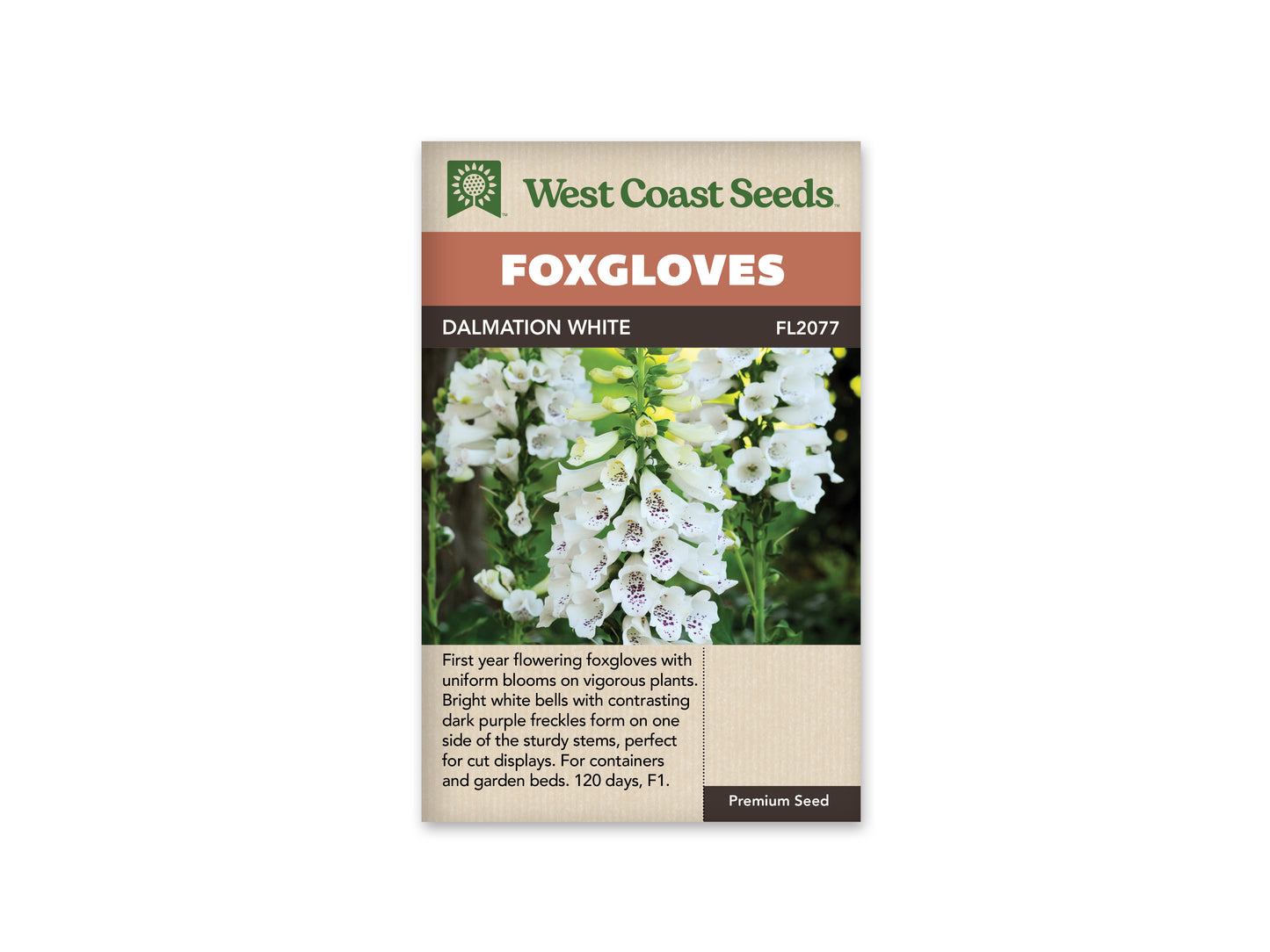 Foxglove  Dalmation White WCS Seeds