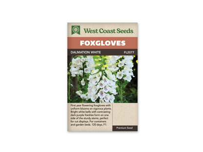 Foxglove  Dalmation White WCS Seeds