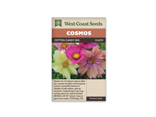 Cosmos Cotton Candy Mix WCS Seeds