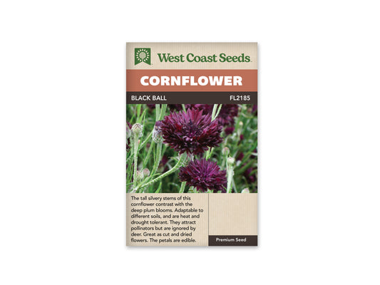 Cornflower Black Ball WCS Seeds