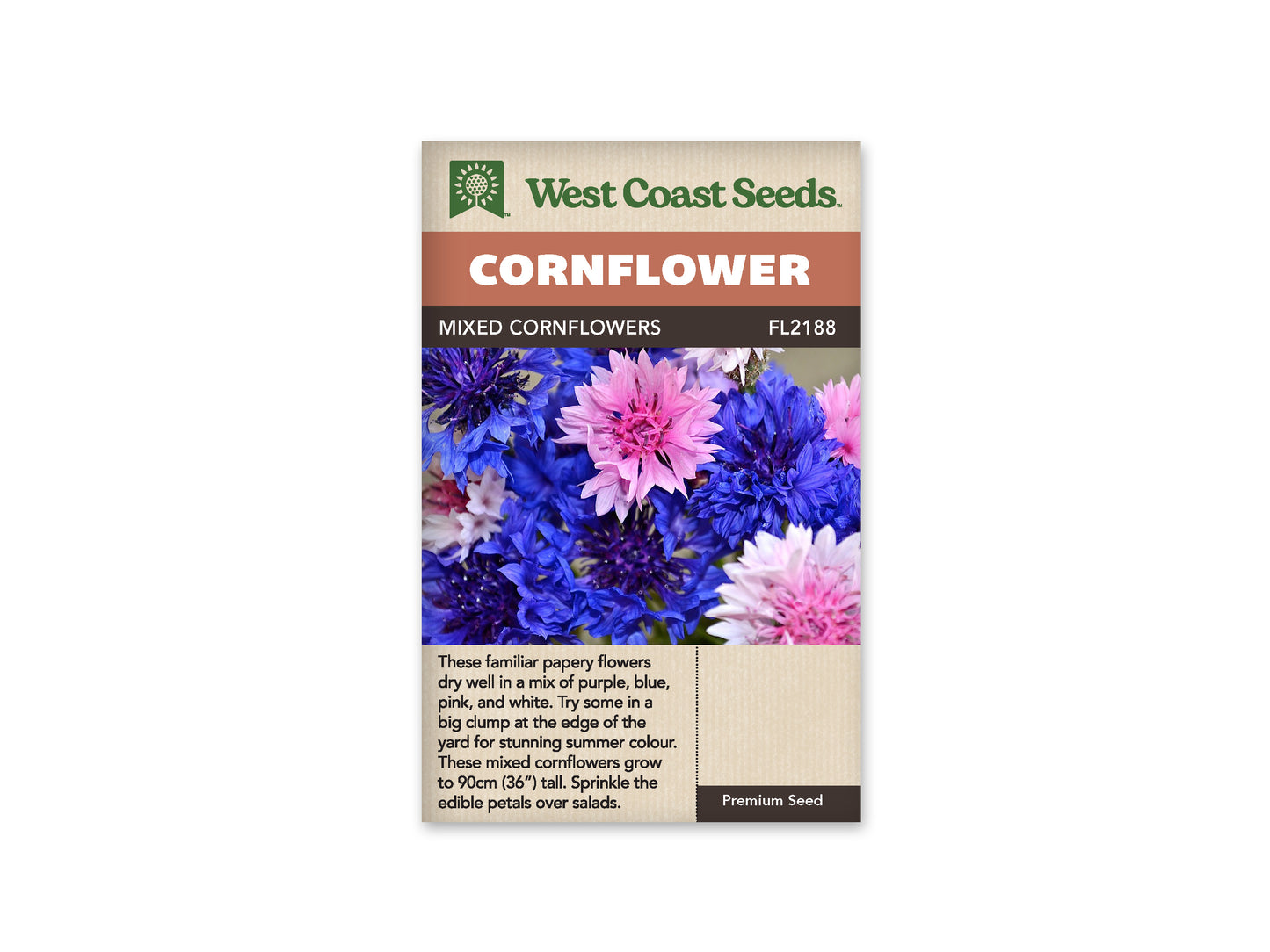 Cornflower Tall Mixed WCS Seeds