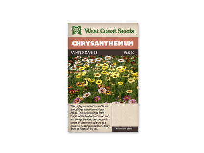 Daisy Chrysanthemum Painted Daisies WCS Seeds