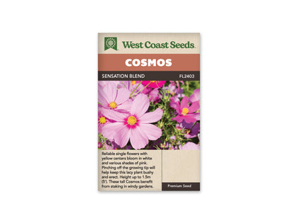 Cosmos Sensation Mix WCS Seeds