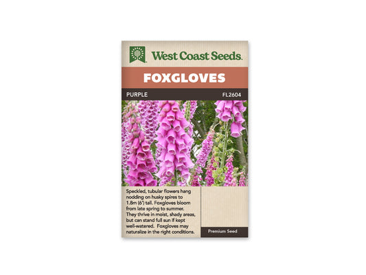 Foxglove Purple WCS Seeds