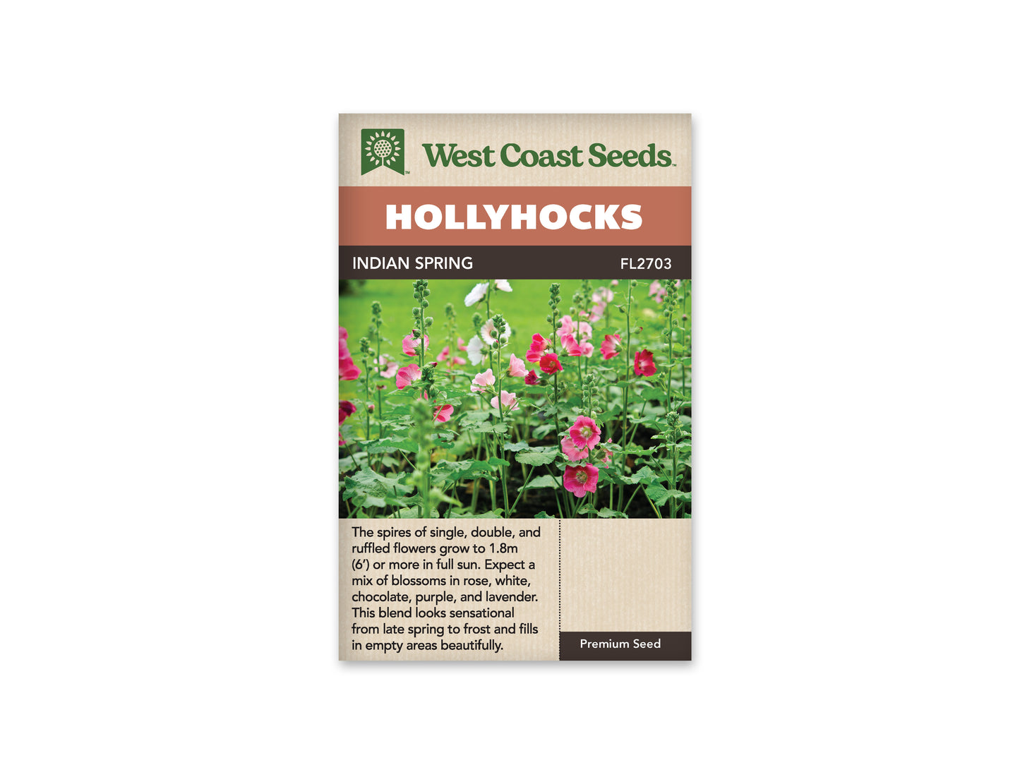 Hollyhocks Indian Spring WCS Seeds