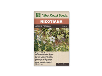 Nicotiana Jasmine Tobacco WCS Seeds