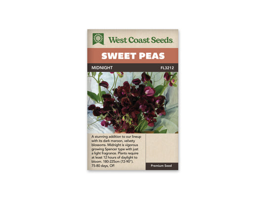 Sweet Peas Midnight WCS Seeds