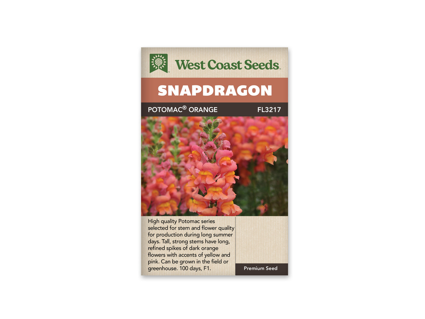 Snapdragon Potomac Orange WCS Seeds